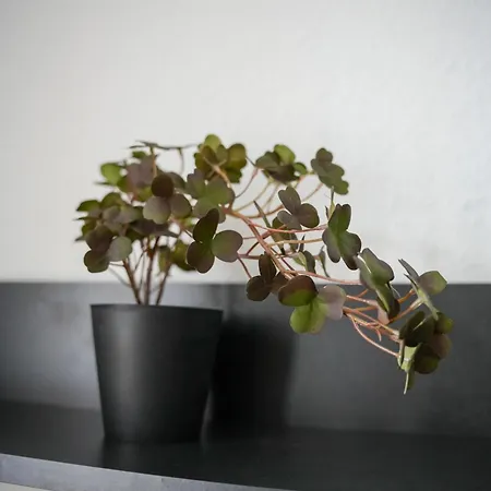 Ruhrgebiet Koeniggraetzer Rechts