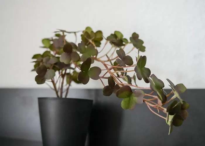 Ruhrgebiet Koeniggraetzer Rechts